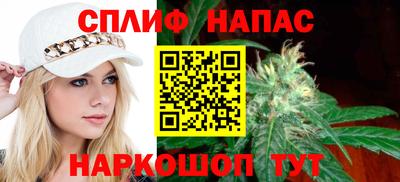 прущие грибы Тверь