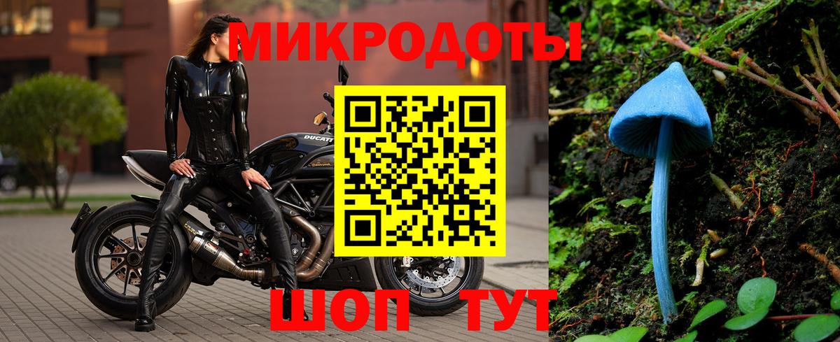Галлюциногенные грибы прущие грибы Обнинск