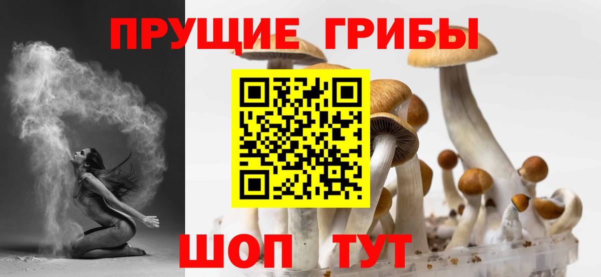 Псилоцибиновые грибы мицелий  Вход с VPN  купить наркотики сайты  Обнинск 